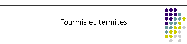 Fourmis et termites