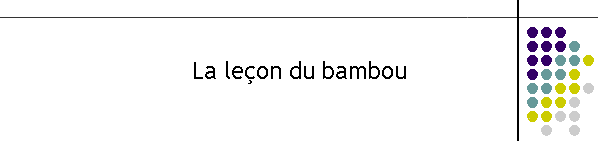 La leon du bambou