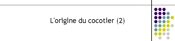 L'origine du cocotier (2)