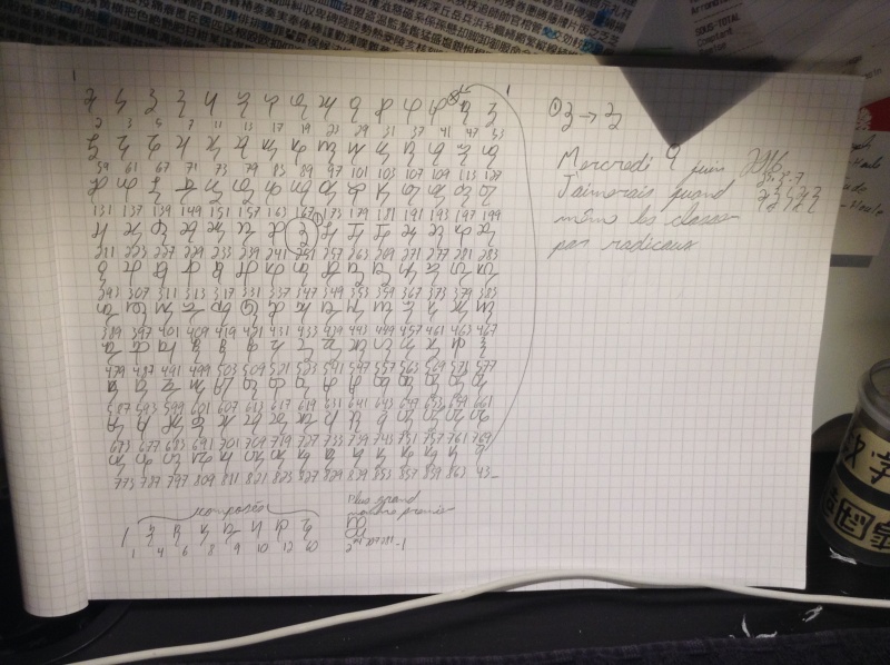 Viquezug Image11.jpg